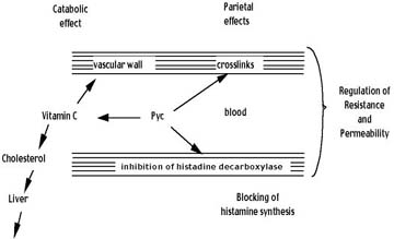 pycfig4