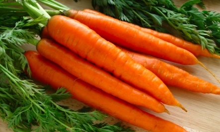 carrots diet Valley Fever