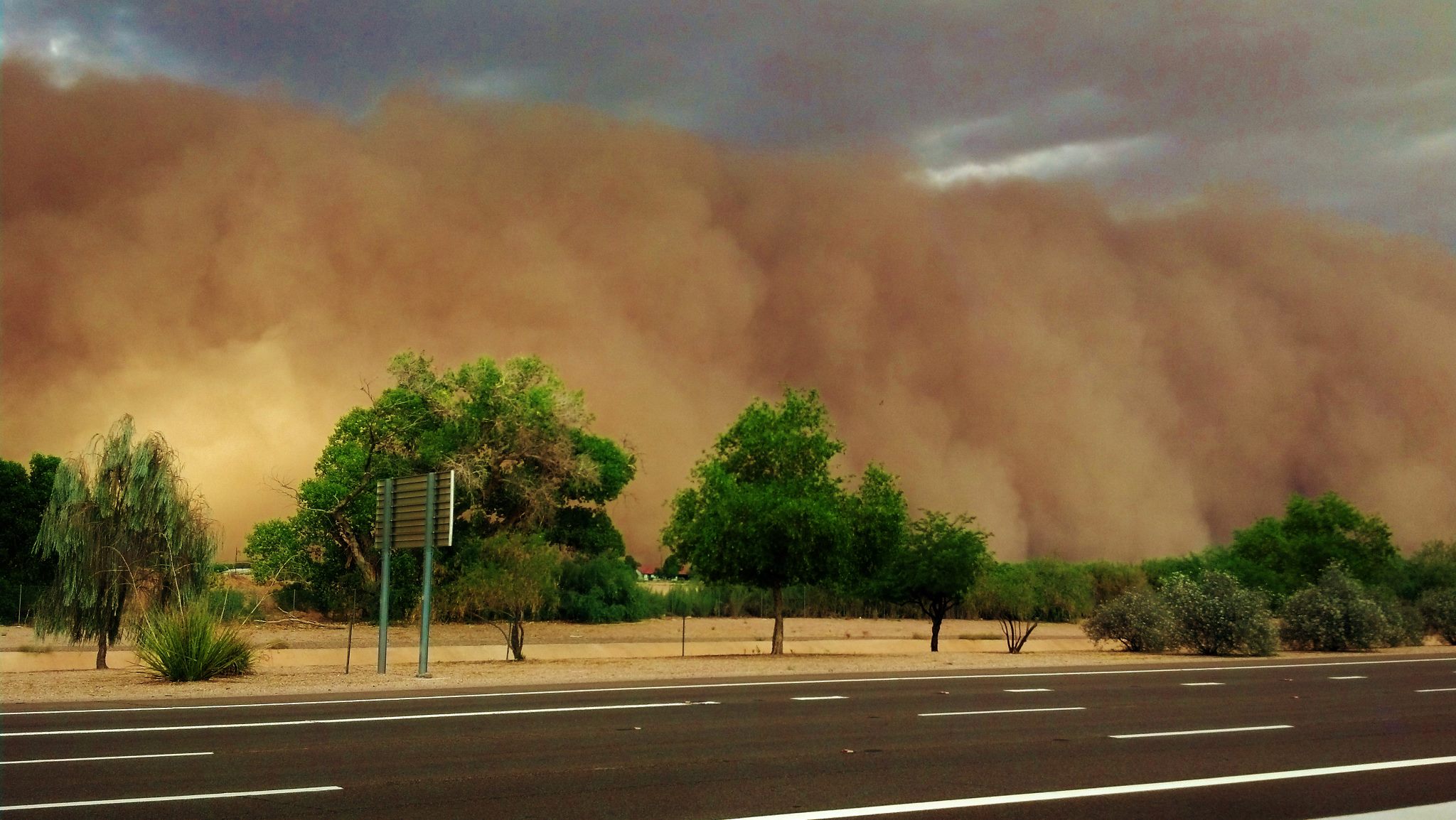haboob arizona dust storm Valley Fever spores