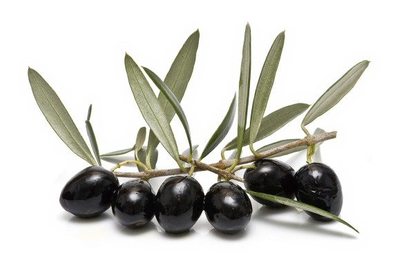 Olive Leaf viruses