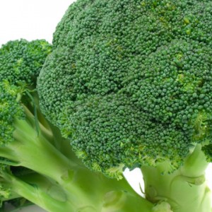 Broccoli