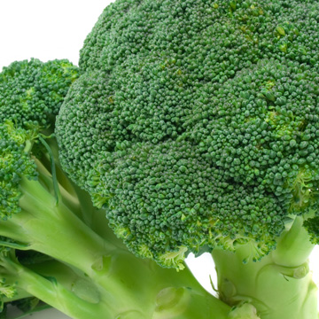 Broccoli nrf2 activator ultimate protector ingredient ARE