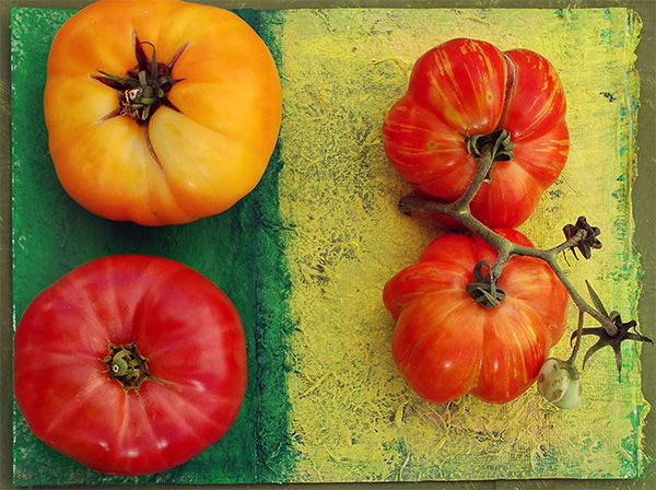 organic tomato tomatoes