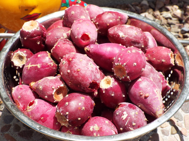 prickly pear fruits smoothie amaranth juice rejuvenate superfoods