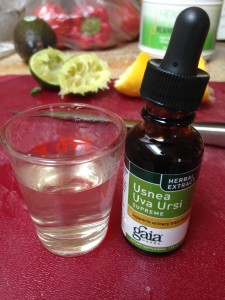 Irena Ossola urva ursi kidney cleanse