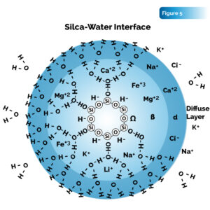 Silica-water interface