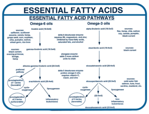 Figure 3 - Essential Fatty Acids – pathways in the body