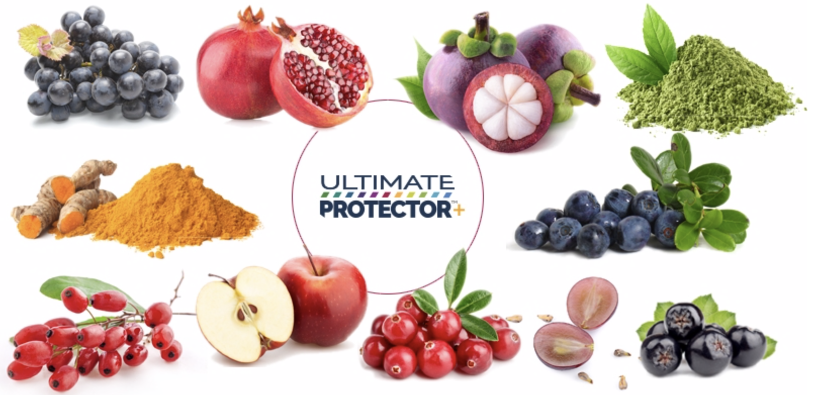 plant-based antioxidants nrf2 activators ultimate protector+