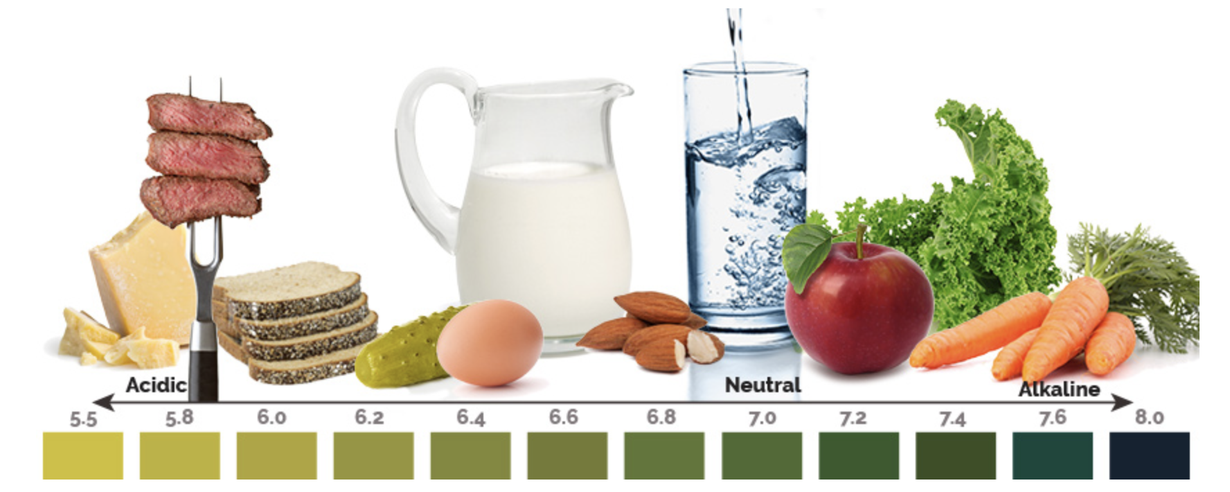 foods can alkalinize